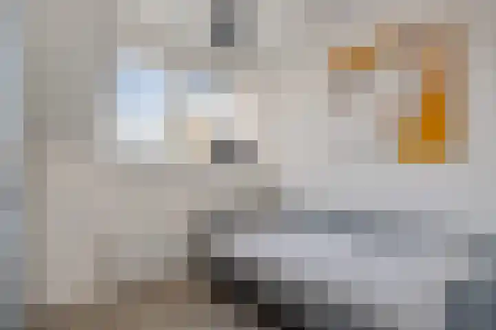 Slotermeer 15 Zoetermeer thumbnail 32