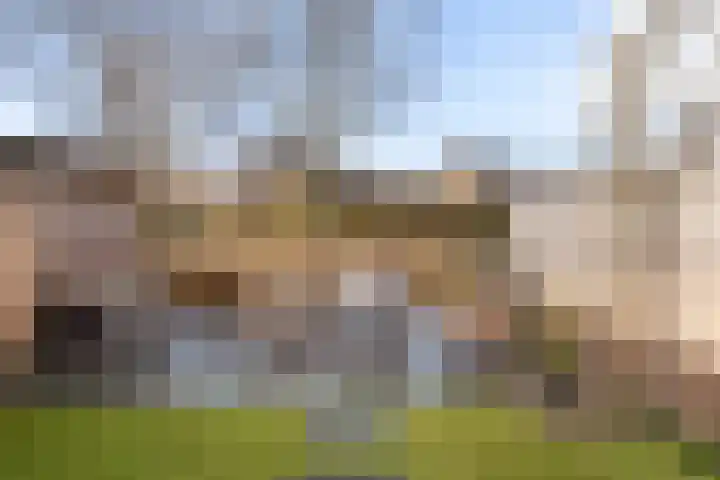 Slotermeer 3 Zoetermeer thumbnail 13