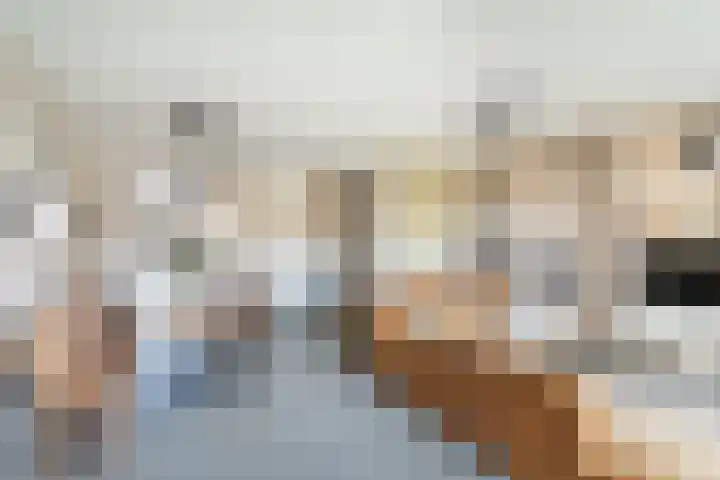 Slotermeer 3 Zoetermeer thumbnail 20