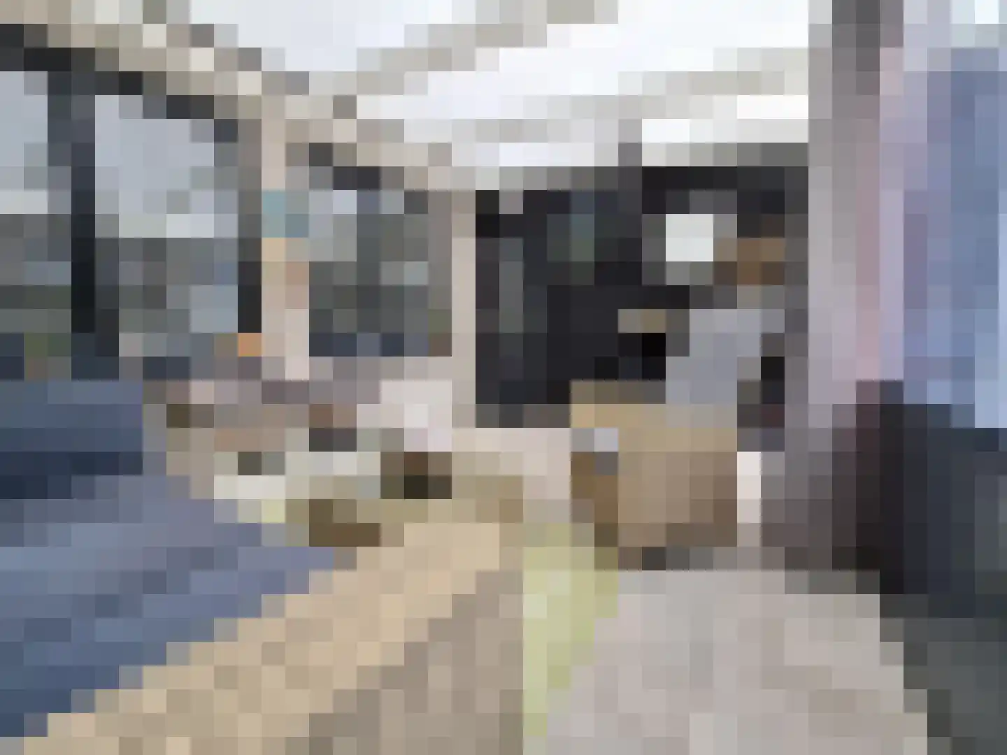 Slotermeer 32 Rotterdam thumbnail 29