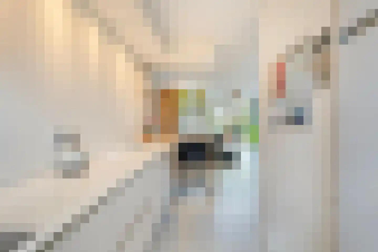 Slotermeer 49 Zoetermeer thumbnail 13