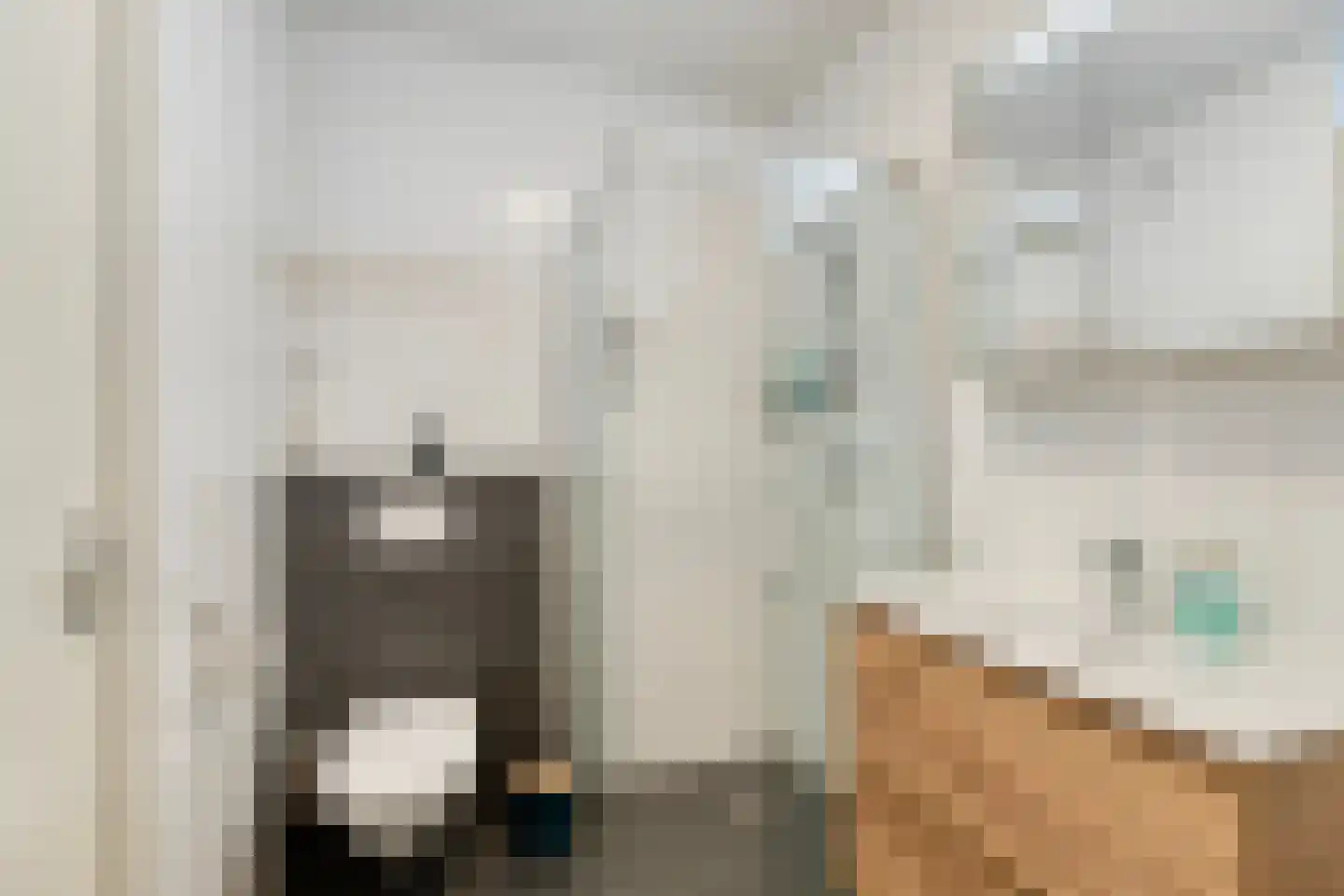 Slotermeer 49 Zoetermeer thumbnail 20