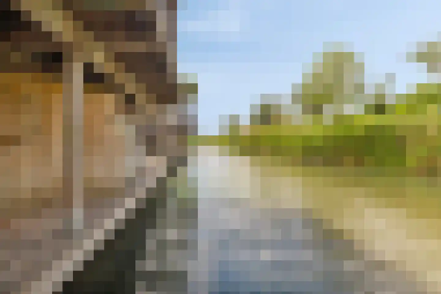 Slotermeer 49 Zoetermeer thumbnail 32