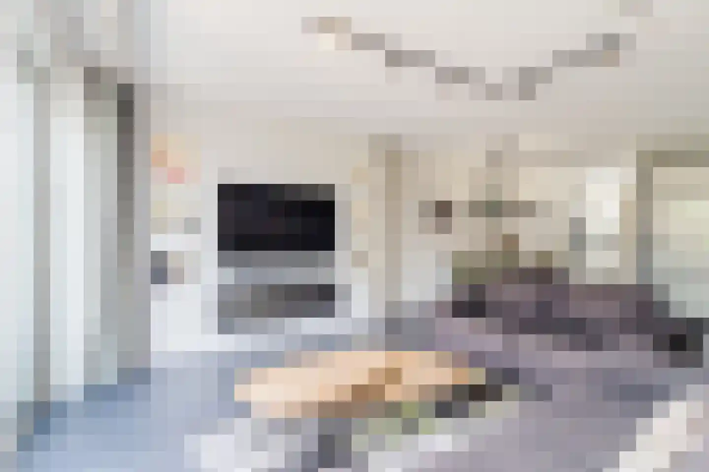Slotermeer 55 Zoetermeer thumbnail 10