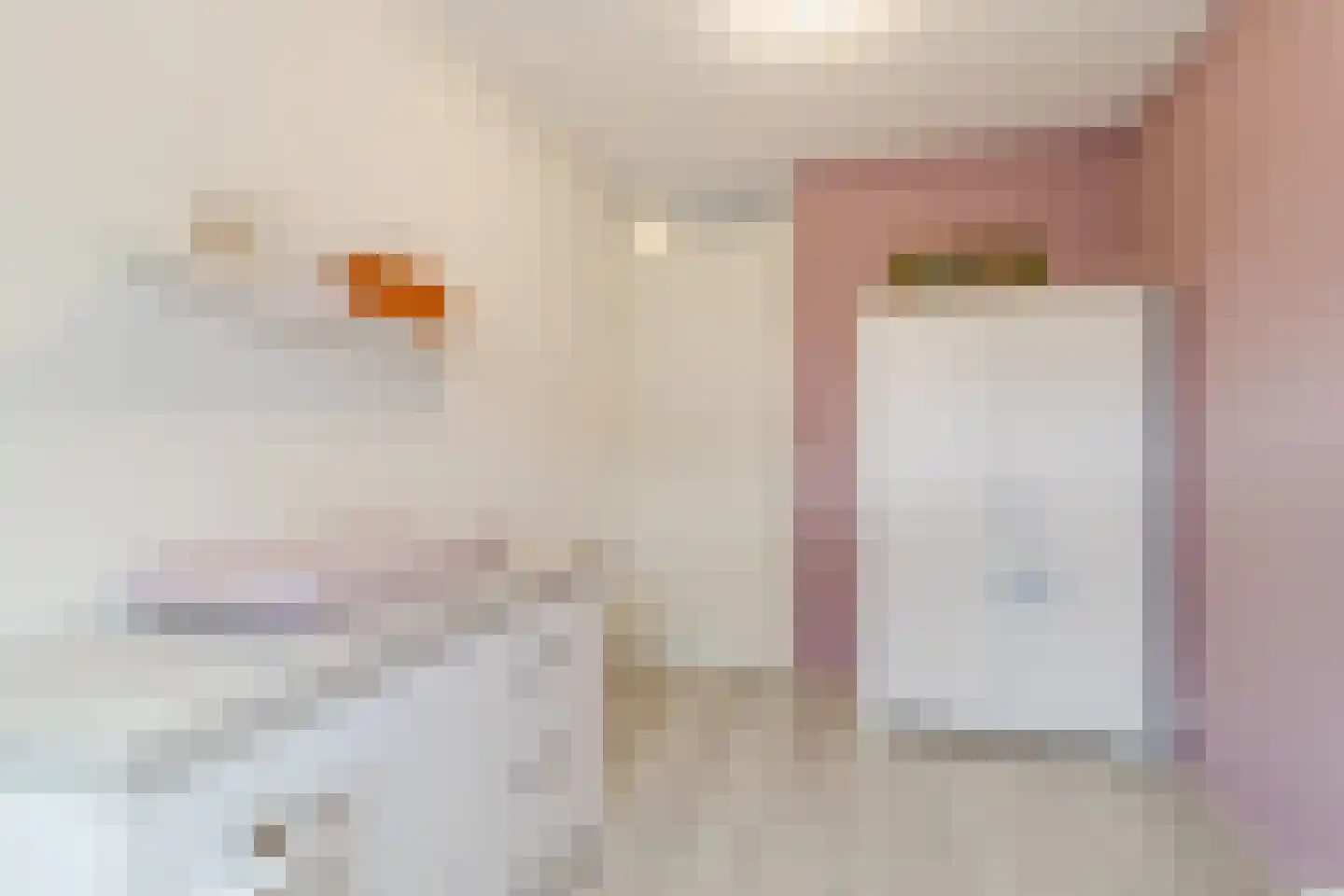 Slotermeer 55 Zoetermeer thumbnail 23