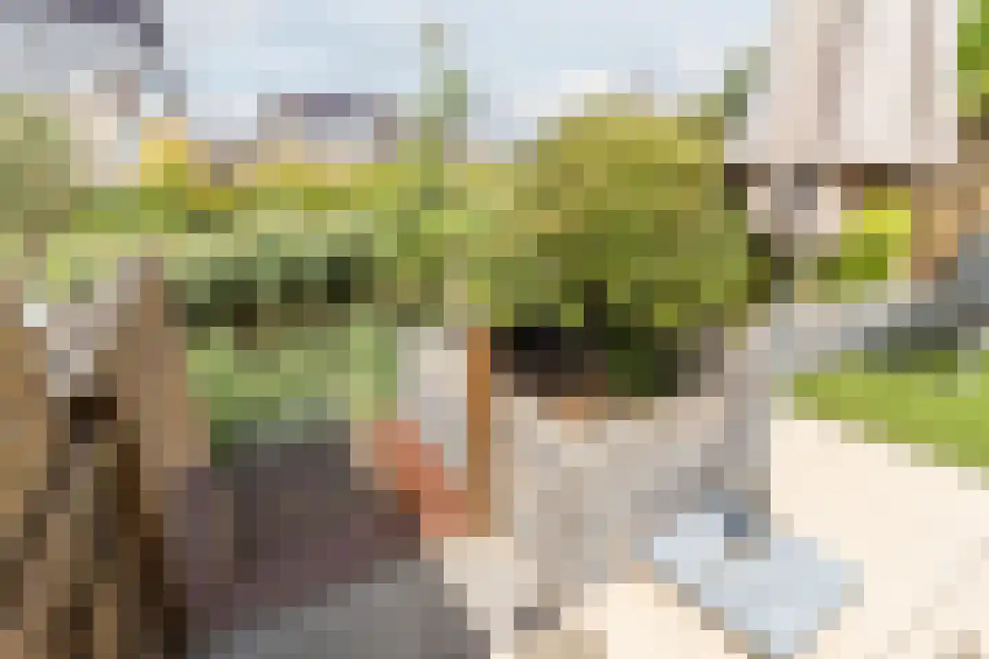 Slotermeer 55 Zoetermeer thumbnail 37