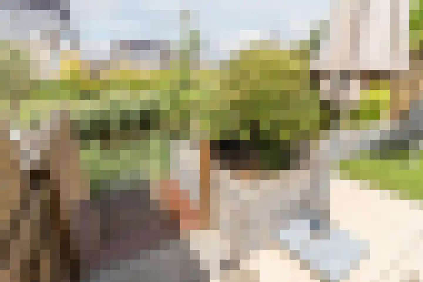 Slotermeer 55 Zoetermeer thumbnail 37