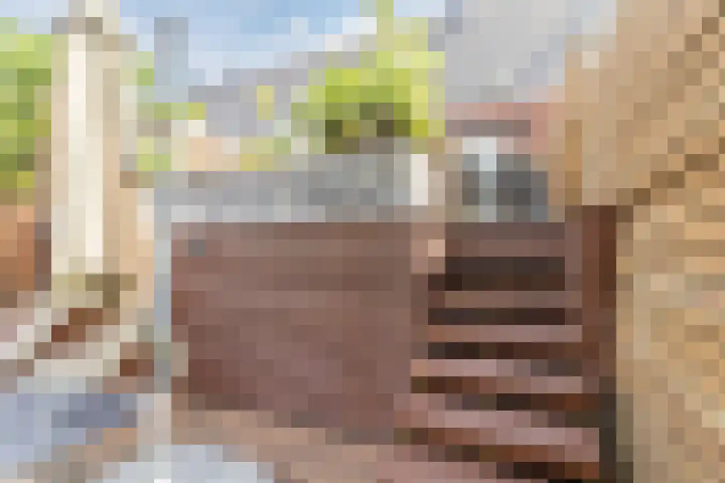 Slotermeer 55 Zoetermeer thumbnail 38