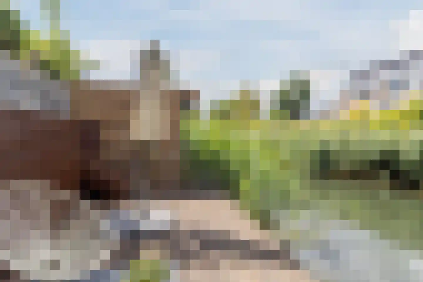 Slotermeer 55 Zoetermeer thumbnail 39