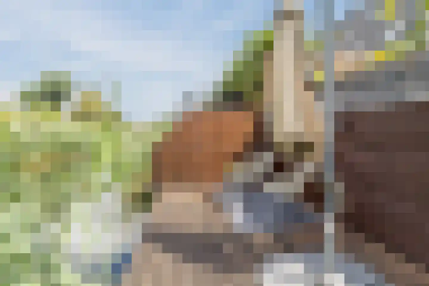 Slotermeer 55 Zoetermeer thumbnail 4
