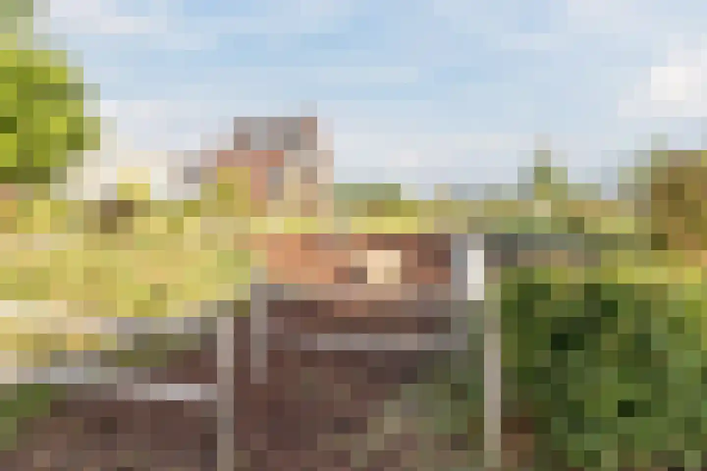Slotermeer 55 Zoetermeer thumbnail 44