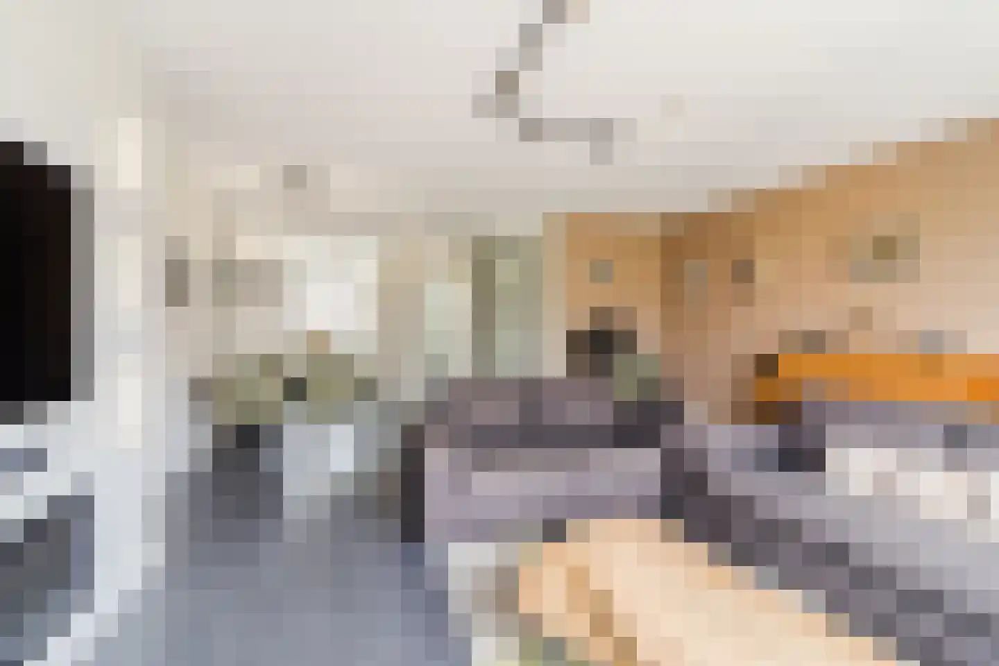 Slotermeer 55 Zoetermeer thumbnail 8