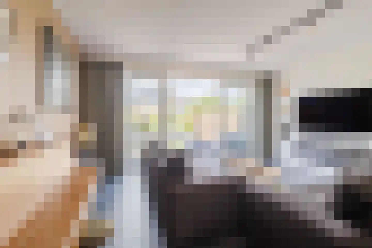 Slotermeer 55 Zoetermeer thumbnail 9