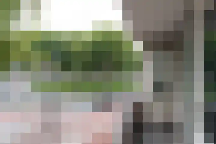 Slotermeerlaan 11 Amsterdam thumbnail 5