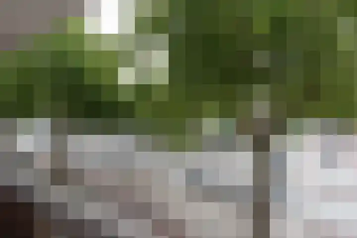 Slotermeerlaan 11 Amsterdam thumbnail 7