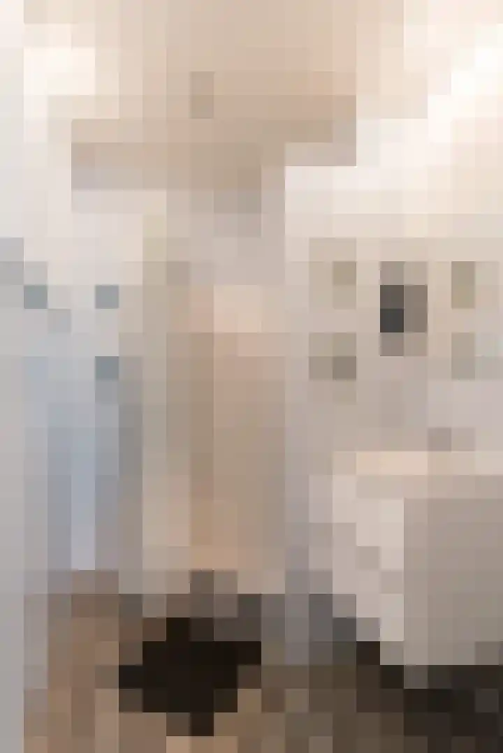 Slotermeerlaan 11 Amsterdam thumbnail 9