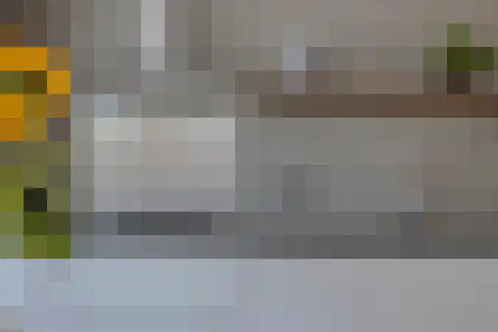 Slotermeerlaan 16 A Amsterdam thumbnail 15