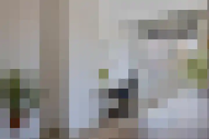 Slotermeerlaan 16 A Amsterdam thumbnail 16
