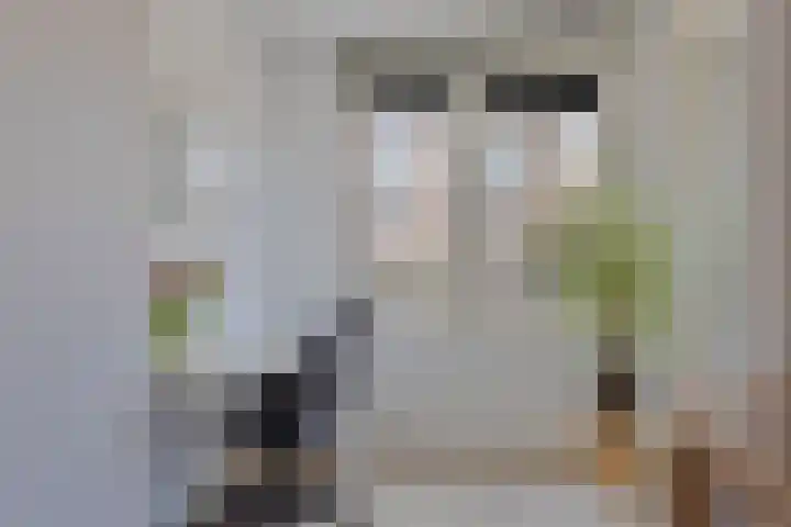Slotermeerlaan 16 A Amsterdam thumbnail 17