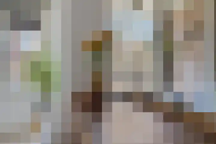 Slotermeerlaan 16 A Amsterdam thumbnail 18