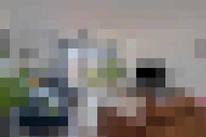 Slotermeerlaan 16 A Amsterdam thumbnail 19