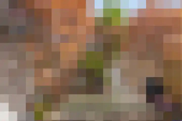 Slotermeerlaan 16 A Amsterdam thumbnail 5