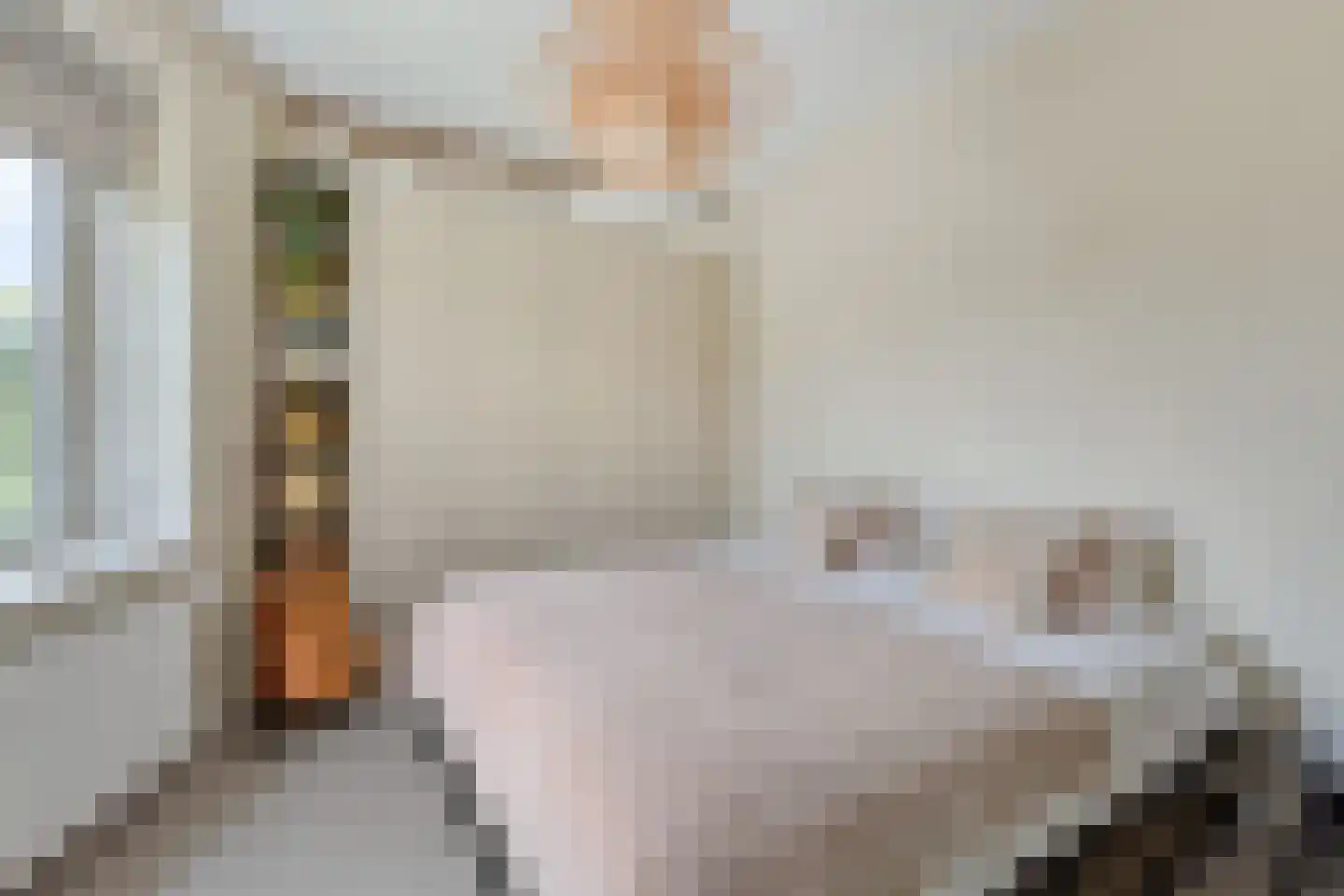 Slotermeerlaan 185 2 Amsterdam thumbnail 17