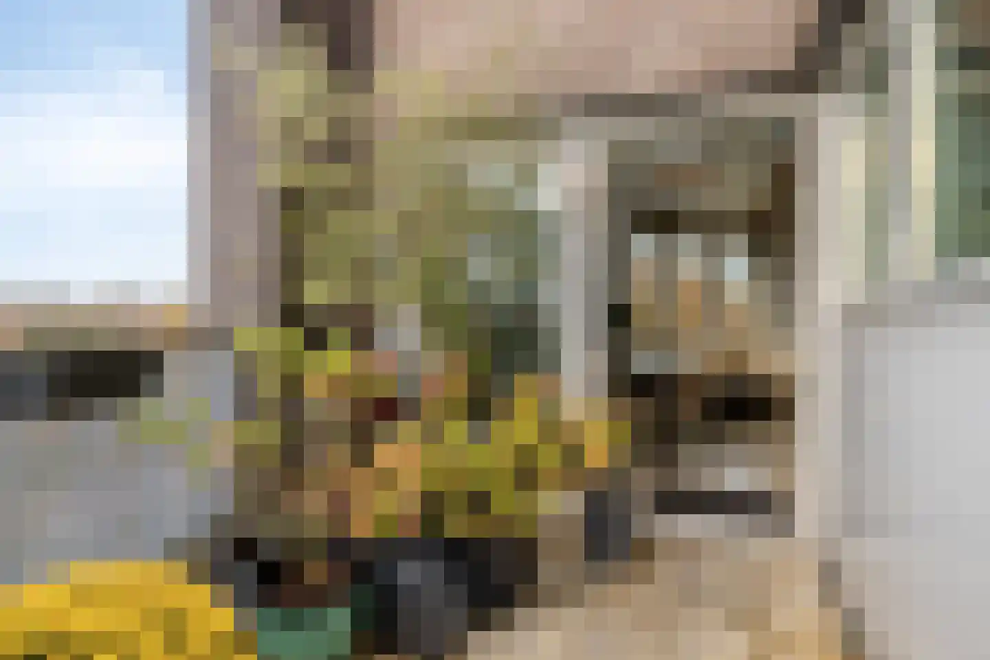 Slotermeerlaan 34 A Amsterdam thumbnail 13