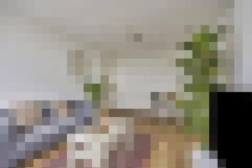 Slotermeerlaan 45 Amsterdam thumbnail 4