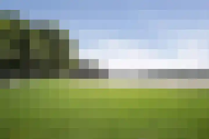 Slotermeerlaan 49 Amsterdam thumbnail 23