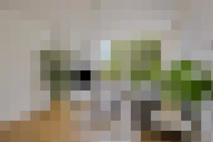 Slotermeerlaan 49 Amsterdam thumbnail 4