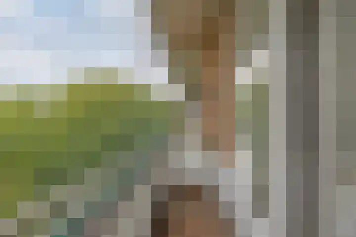 Slotermeerlaan 49 Amsterdam thumbnail 5