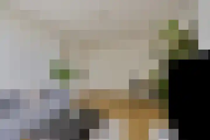 Slotermeerlaan 49 Amsterdam thumbnail 6