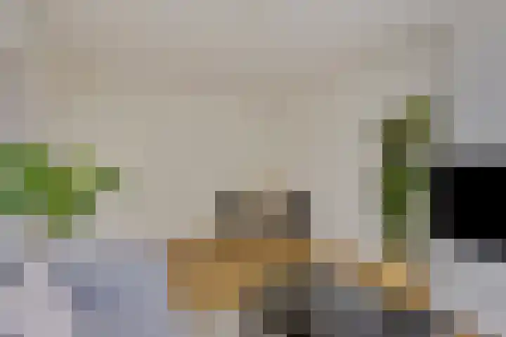 Slotermeerlaan 49 Amsterdam thumbnail 7