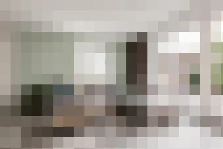 Slotermeerstraat 1 Berkel en Rodenrijs thumbnail 10