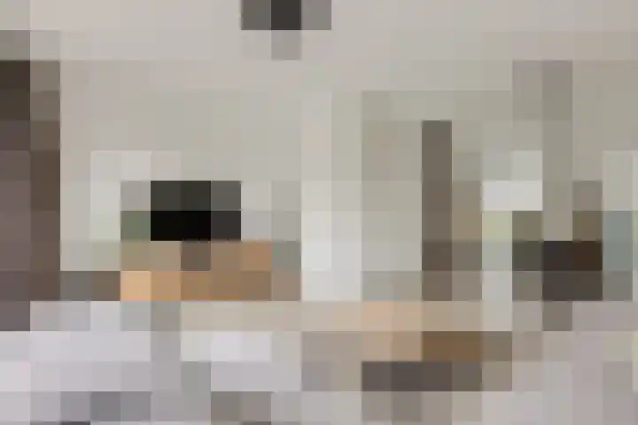 Slotermeerstraat 1 Berkel en Rodenrijs thumbnail 12