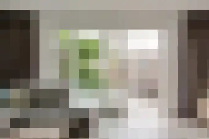 Slotermeerstraat 1 Berkel en Rodenrijs thumbnail 13
