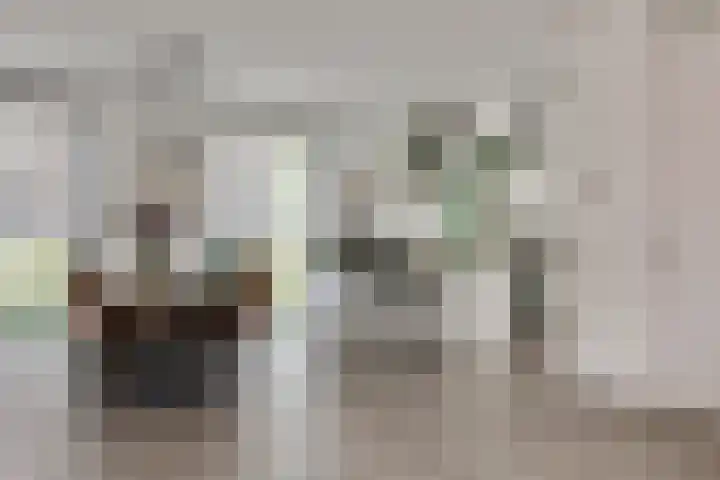 Slotermeerstraat 1 Berkel en Rodenrijs thumbnail 15