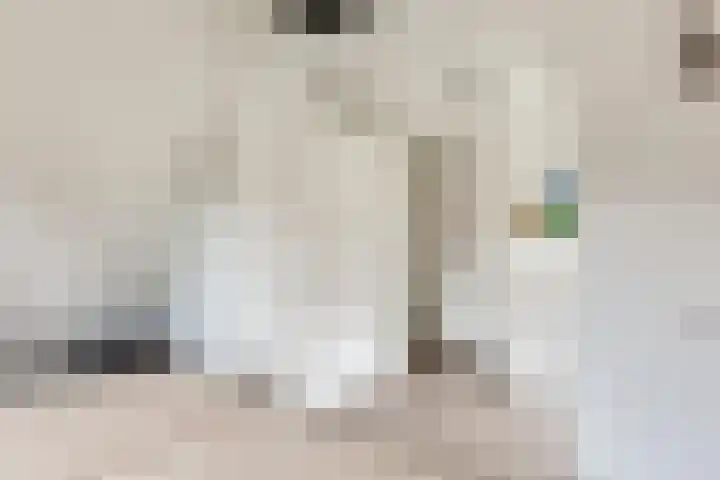 Slotermeerstraat 1 Berkel en Rodenrijs thumbnail 23