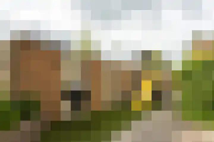 Slotermeerstraat 1 Berkel en Rodenrijs thumbnail 36