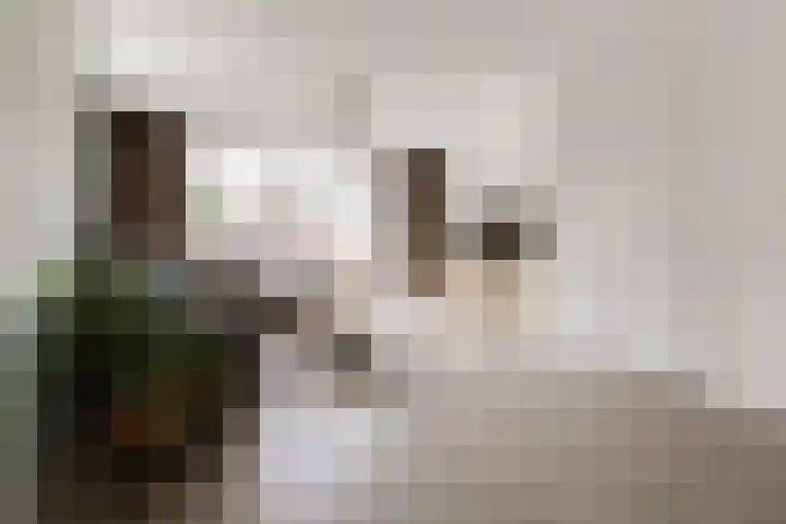 Slotermeerstraat 1 Berkel en Rodenrijs thumbnail 8