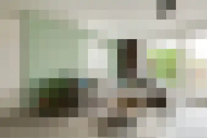 Slotermeerstraat 1 Berkel en Rodenrijs thumbnail 9