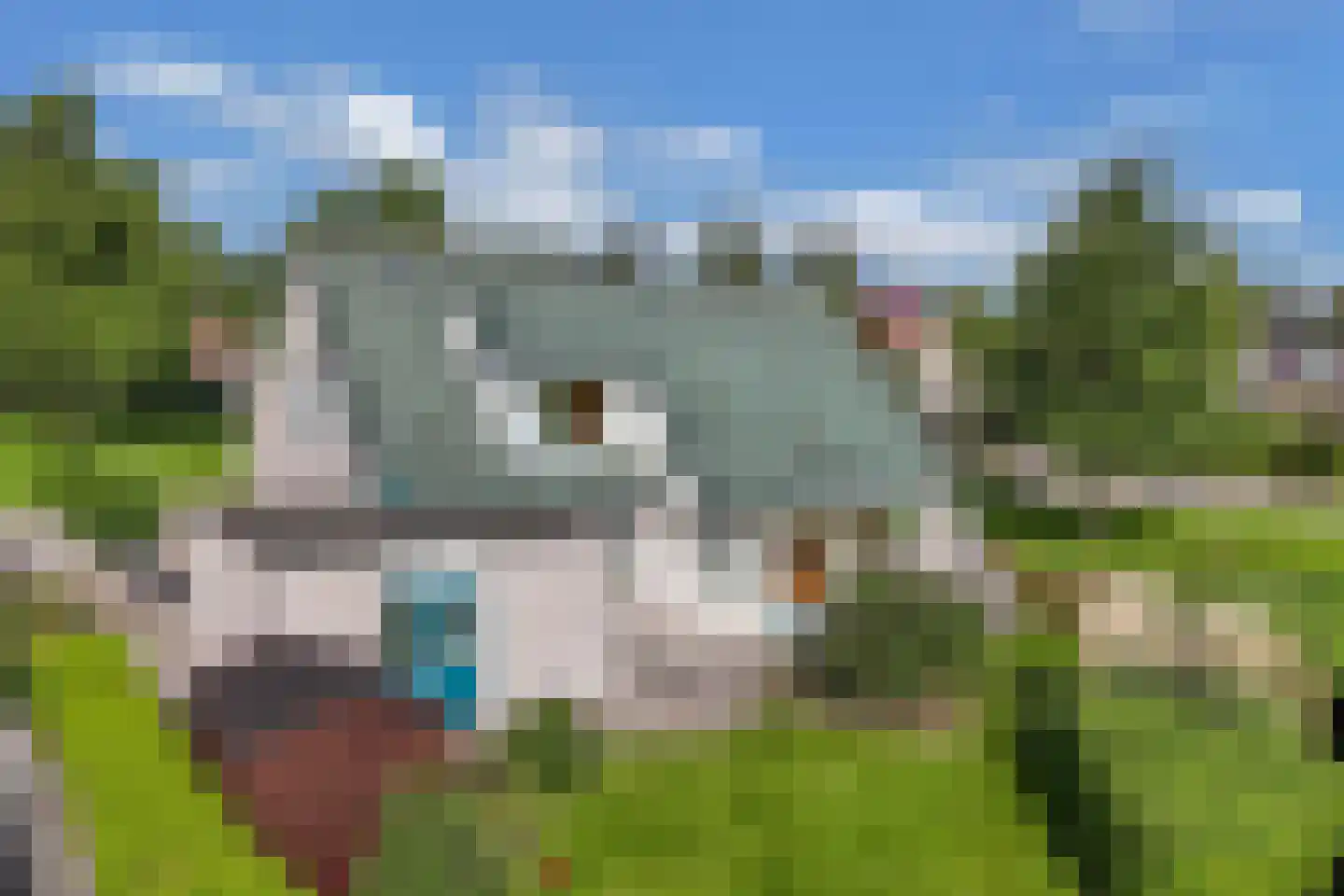 Slotermeerstraat 1 Lemmer thumbnail 53
