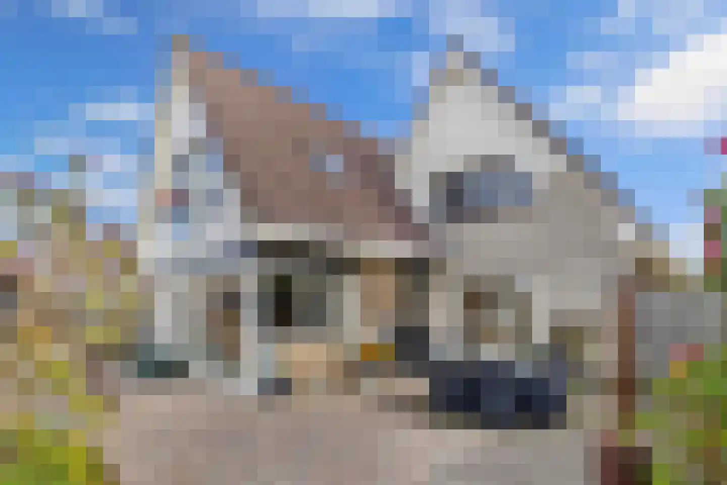 Slotermeerstraat 16 Lemmer thumbnail 36