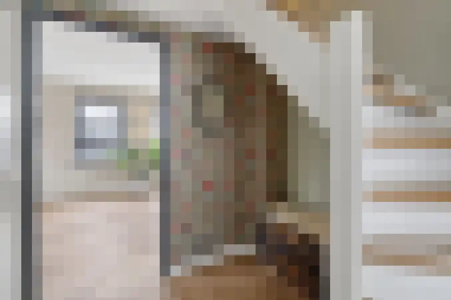 Slotermeerstraat 53 Lemmer thumbnail 9