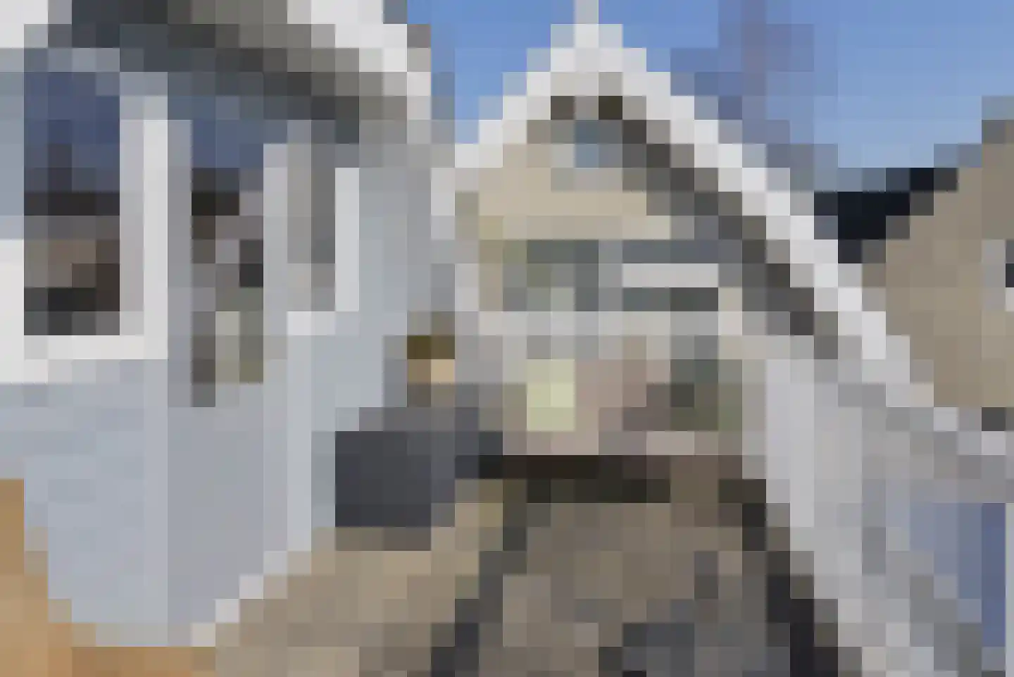Sloterweg 1201 Amsterdam thumbnail 28