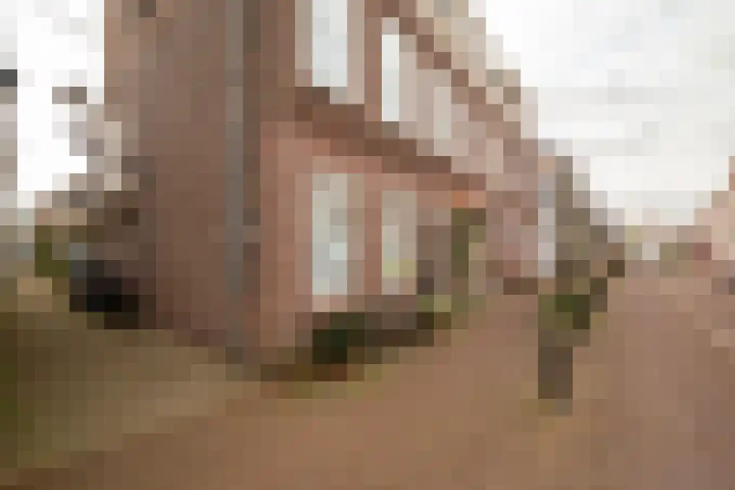 Sloterweg 1235 A Amsterdam thumbnail 35