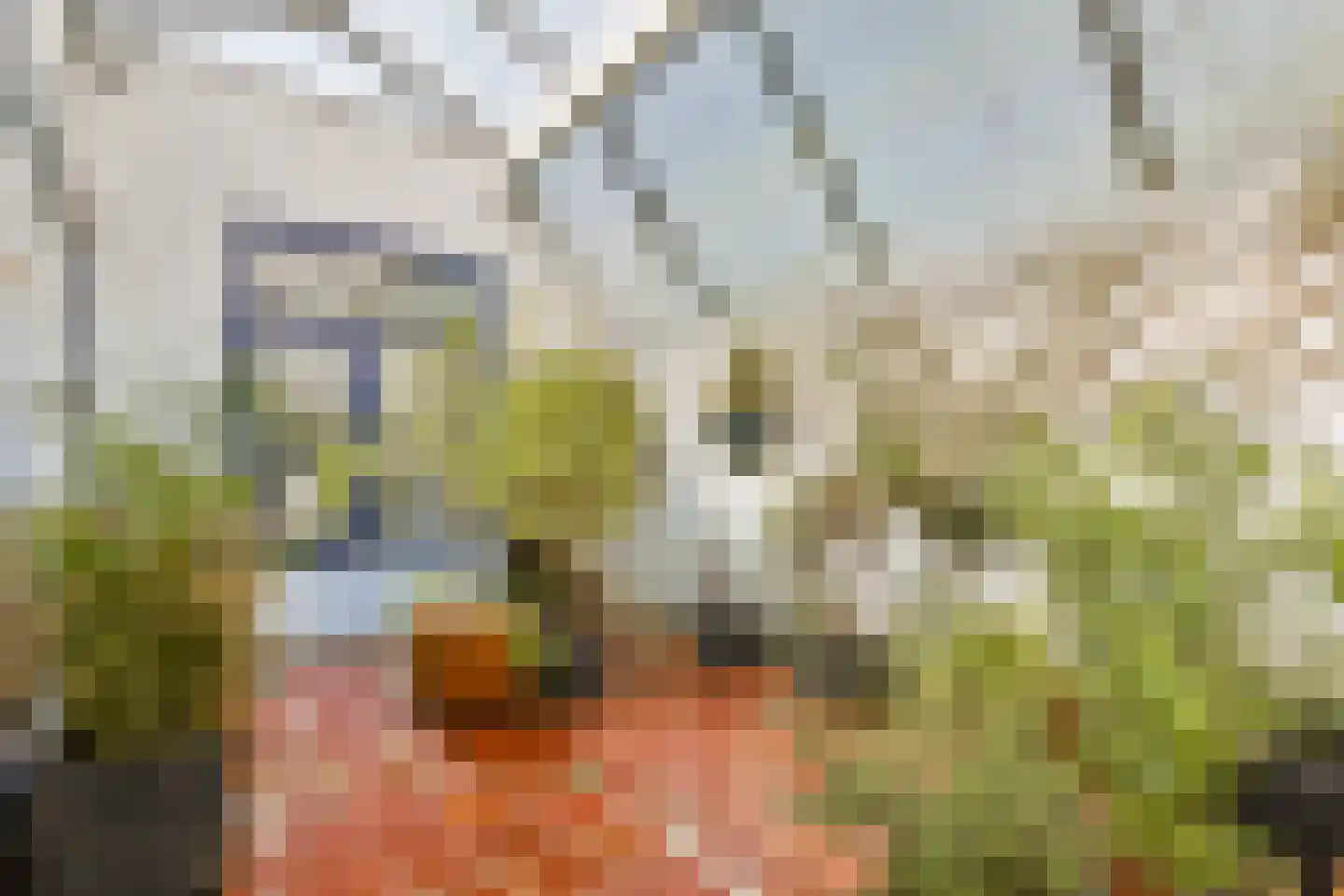 Sloterweg 1257 Amsterdam thumbnail 32