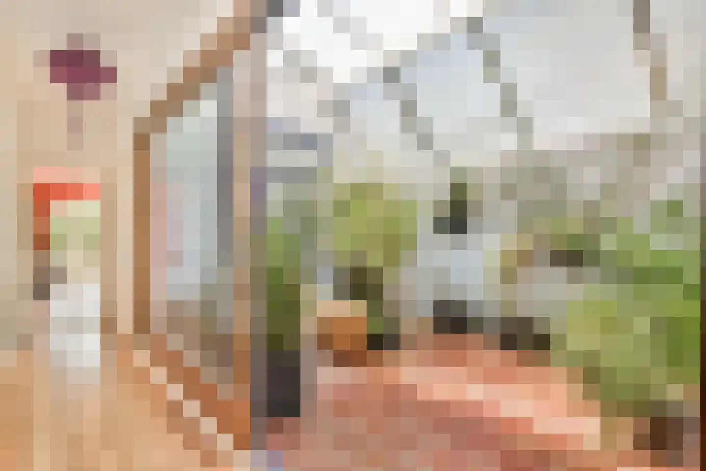 Sloterweg 1257 Amsterdam thumbnail 7
