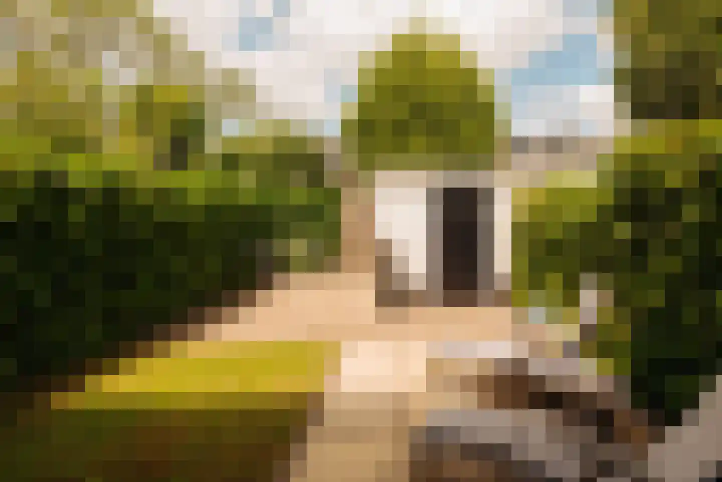 Sloterweg 235 Badhoevedorp thumbnail 16